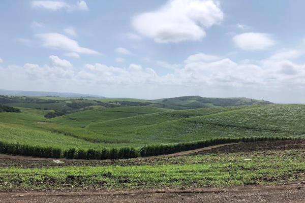 Located in the  Frazer area, just a short scenic drive from the vibrant coastal town of Ballito, this expansive sugar cane farm ...