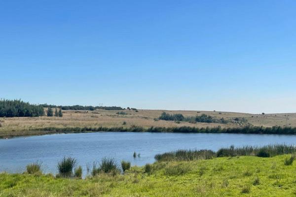 This 997ha farm is close to Belfast Mpumalanga.  It offers 200ha arable land planted with maize, soya beans and potatoes.  20ha is ...