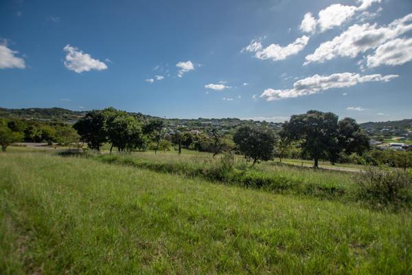 This stand is situated on the eastern side of The Rest Nature Estate overlooking the ...