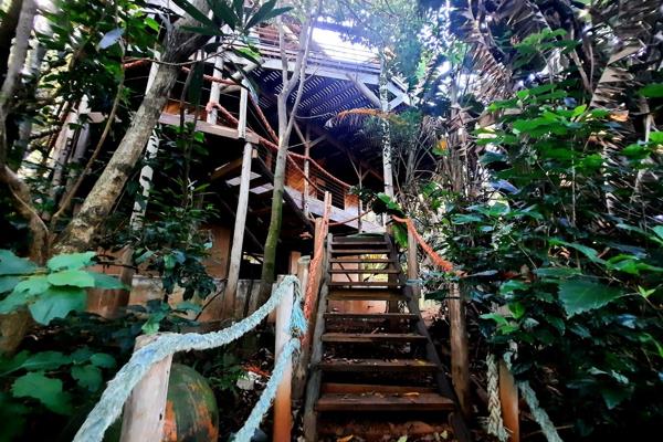 Nested amidst the lush sub-tropical bush of the Kwa Zulu Natal&#39;s South Coast, this stunning architect designed 3 Bedroom wooden ...