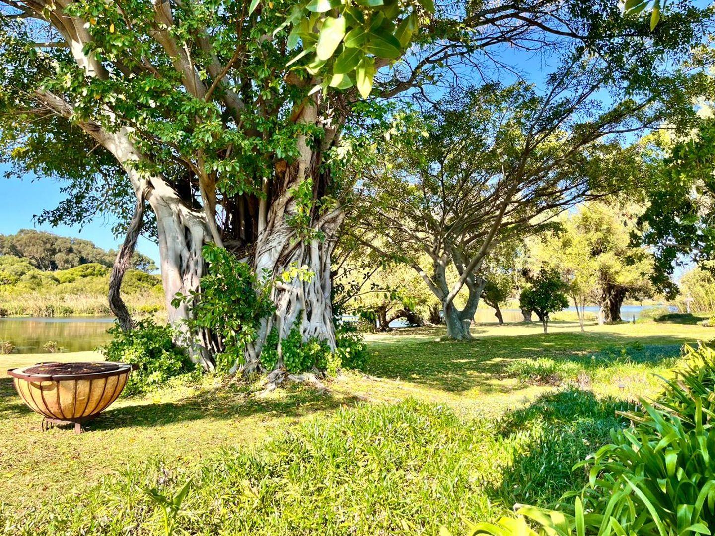 2 Bedroom House for sale in Elfindale P24114327770