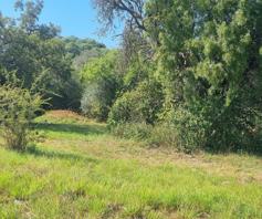 Vacant Land / Plot for sale in Ville D'Afrique