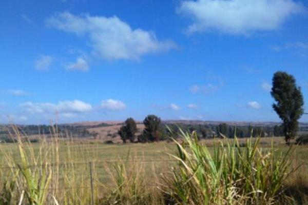 Discover your slice of paradise near Misty Meadows – a 6.894-hectare VACANT smallholding awaits you.

Nestled amidst picturesque veld ...