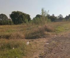 Farm for sale in Witpoort Estates