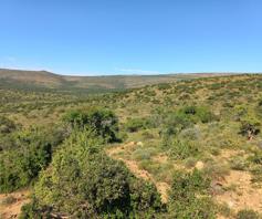 Farm for sale in Grahamstown Rural