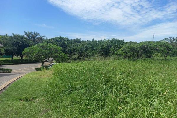 Level site positioned in the secure Nkwazi Ridge estate in Zinkwazi Beach.  
Opportunity ...