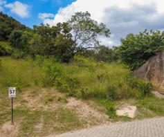 Vacant Land / Plot for sale in Likweti Bushveld Farm Estate