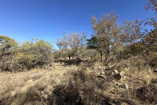 One of the last remaining unbuilt stands in Lissataba Nature Reserve is for sale. Lissataba is 45 years old and a well developed and ...