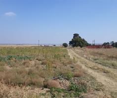 Vacant Land / Plot for sale in Homestead Apple Orchards