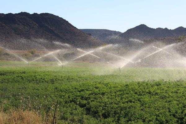 One of the best lovely sheep farms in the heart of the Karoo which came very seldom in the market. Between Vosburg, Victoria-West and ...