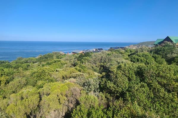 This pristine stand is in the secure and upmarket Monate Eco Estate, beautifully nestled above the cliffs of Herolds Bay. This is truly ...