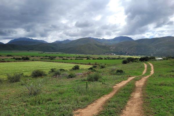 With water rights from the Gouritz, the farm has 12ha under permanent spray irrigation, and 70ha of lucern under flood irrigation. 2 ...