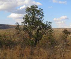 Vacant Land / Plot for sale in Zwartkloof Private Game Reserve