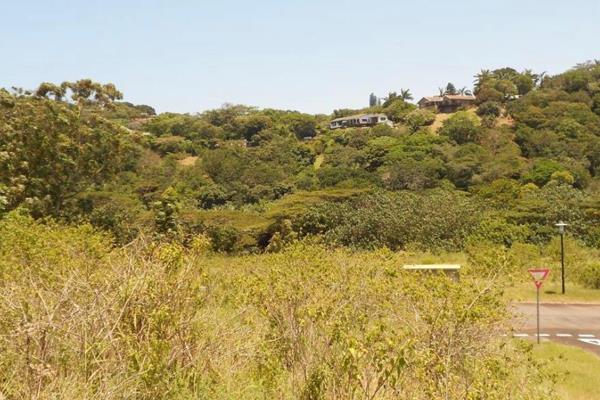 Discover tranquillity at its finest at Ukusa River Estate. Tucked away in a serene haven, this vacant stand awaits your vision to craft ...