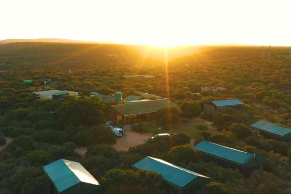 Established Game Lodge on 3000ha reserve with Lion, Buffalo, and Plains Game located just a 10 min drive from Addo National Park. 
The ...