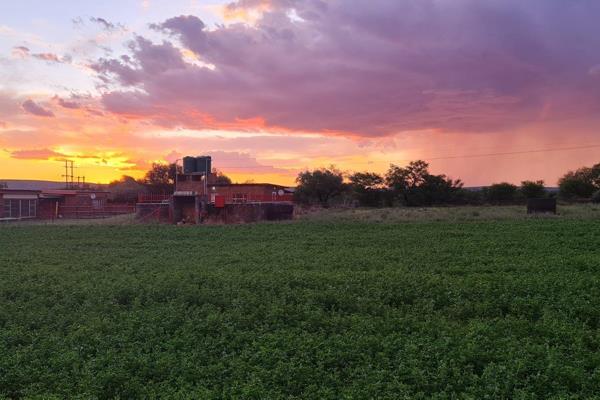 Nestled in serene farmland, this property is a revenue powerhouse. A thriving water purification plant has the potential to generate ...