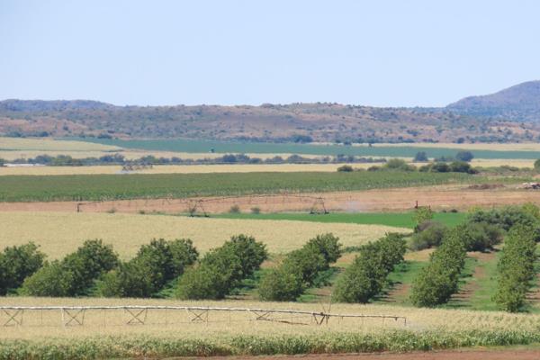 This unique 213-hectare farming enterprise is situated on the fertile southern banks of the Orange River, downstream from the Van Der ...