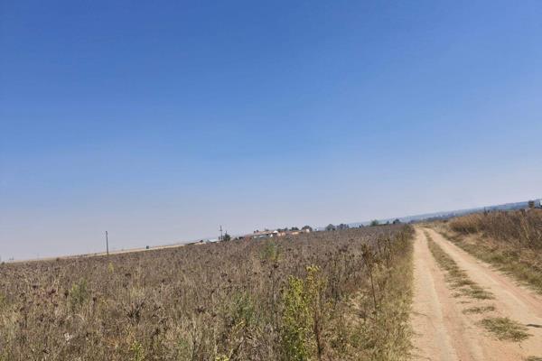 Attention aspiring farmers and developers! An exceptional opportunity awaits on the R555 road between Middelburg and Witbank. This flat ...