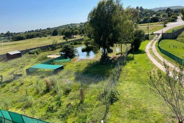 Plot 80, Hartsenbergfontein.
Zoning – Agricultural
Extent – 15.086 Hectares

The road frontage of this property is very prominent ...