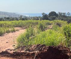 Vacant Land / Plot for sale in Sibaya Precinct