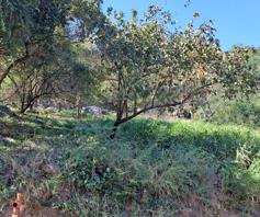 Vacant Land / Plot for sale in Milkwood Estate