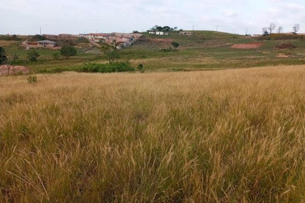 Cash only!

This is a huge piece of land in a developing area of Umbumbulu South Coast of Durban. There are newly built houses around ...