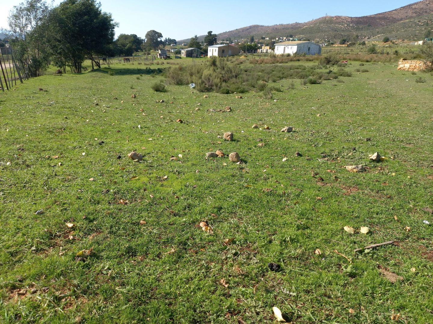 Farm for sale in Haarlem P24114451367