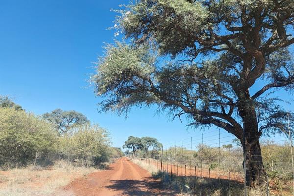 This 130 hectare farm is situated 32 kilometers from Thabazimbi, in total only 16 kilometer, excellent condition dirt road. 
The farm ...