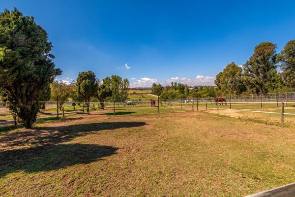 Nestled on nearly 2.4 hectares with tar road access, this property is an ideal investment opportunity for equestrian enthusiasts. It ...