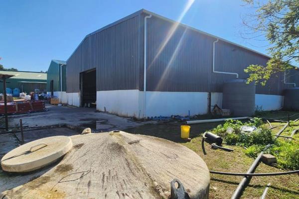 Premium Industrial Property for Lease: 738.0m2 in Lower Illovo

Discover an exceptional opportunity to elevate your business operations ...