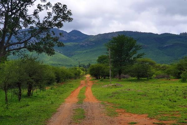 The farm SARUM, adjacent to the Vivo road, set against the majestic Soutpansberg mountain range, is home to this third generation ...