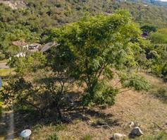 Vacant Land / Plot for sale in Milkwood Estate