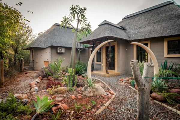 This modern 3-bedroom home, all with en-suite bathrooms, is located on the greenbelt of the Hoedspruit Wildlife Estate, offering ...