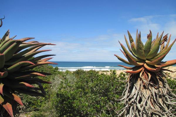 Stand right on the beach. Dunes form part of the stand.
Imagine a place where the sky ...