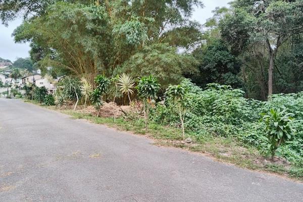 Large undeveloped land (8846 sqm). Surrounded by residential properties all around.

Great investment for developers or to build your ...