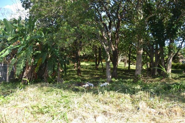 Large vacant plot with road access from two sides,  fairly level with a few trees.  Located in Manaba walking distance to the shops and ...