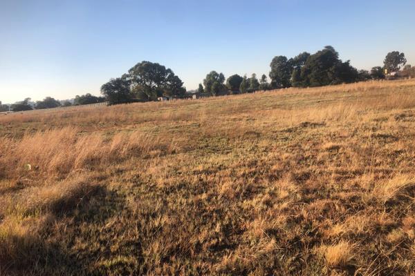 Open land in a very nice area suitable for farming. With water

CALL NOW FOR VIEWING