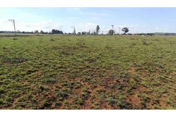 The 2.5-hectare open plot in Westonaria Rural is a picturesque piece of land that has been utilized for cultivating a variety of ...