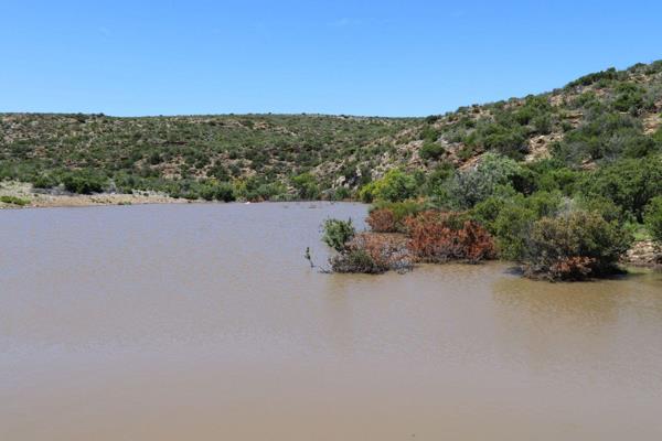 Located only 40 km north-east of Uniondale and a mere 2 hours from George Airport, an exquisite 2076 ha cattle and game farm is ...