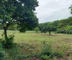 Vacant Land / Plot for sale in Zinkwazi Beach