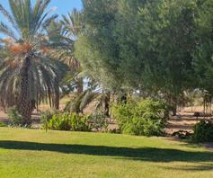 Farm for sale in Karos