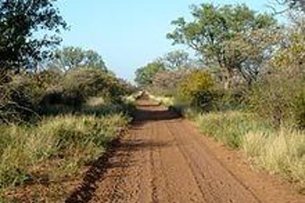 **Bushveld Irrigation and Cattle Farm for Sale Near Lephalale, Limpopo**
Discover the ideal blend of agricultural opportunity and ...