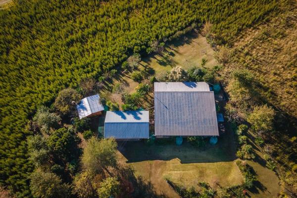 SOLE MANDATE: Surrounded by a lush tea tree plantation, this exceptional 2,07 ha ...