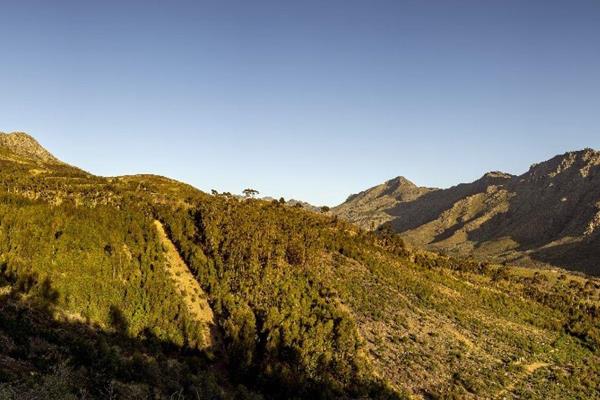 Experience unparalleled luxury at Botmaskop Estate, where nature and elegance blend seamlessly in Stellenbosch&#39;s prestigious ...