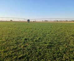 Farm for sale in Vryburg Rural