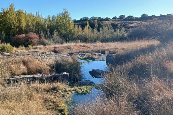 This outstanding farm offers a unique investment opportunity for serious agricultural professionals. Spanning 1048 hectares, it is one ...