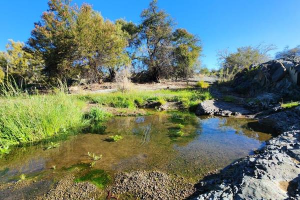 Expansive Farm with Stunning Home and Abundant Wildlife in Laingsburg, Western Cape

Location:
Town: Laingsburg, Western ...