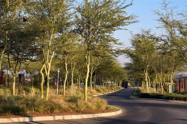 Nestled in the heart of Midrand’s prestigious Blue Hills Equestrian Estate, this expansive 5,000m&#178; piece of prime land is your ...