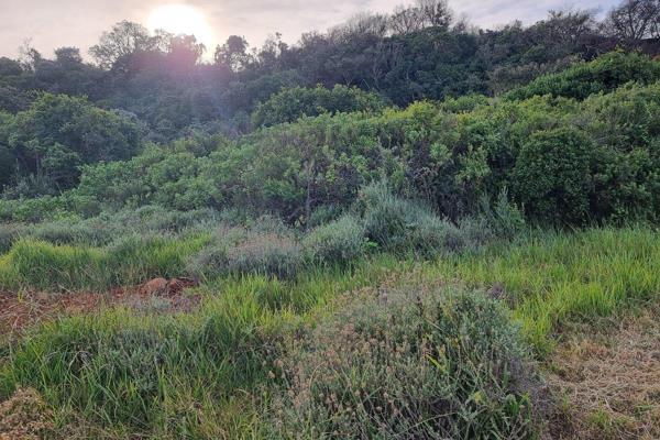 Level stand in quiet street, very close to the beach.  Beautiful trees and nature.  Oyster Bay is very close to St Francis Bay and Cape ...