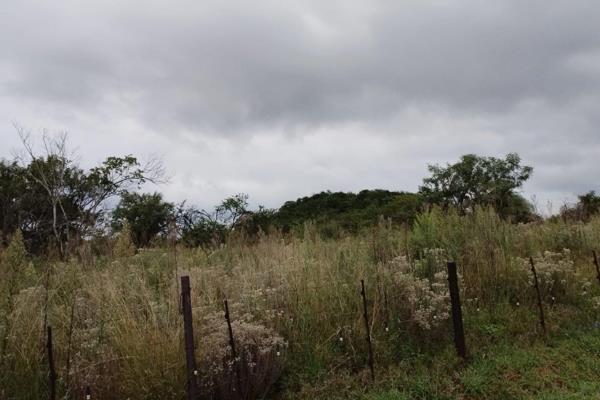 The conservancy is situated within the boundaries of Sedibeng District surrounding the ridges and wetlands of Houtheuwel (Houtkop ...